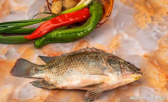 羅非魚盛宴:六種風味做法大揭秘
