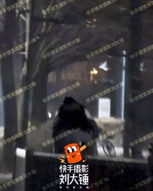 3月28日,李雪琴,大瓜曝光!