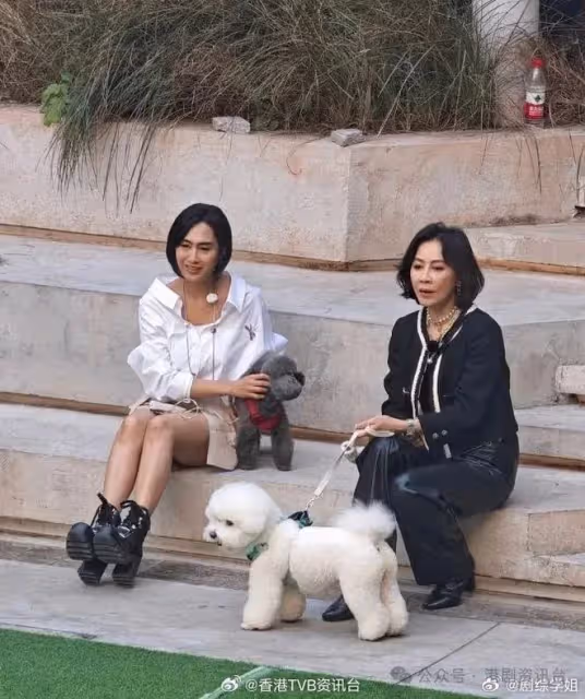 劉嘉玲遇《雞鴨戀》幕後興奮！與佘詩曼西貢半日游食盡馳名小店