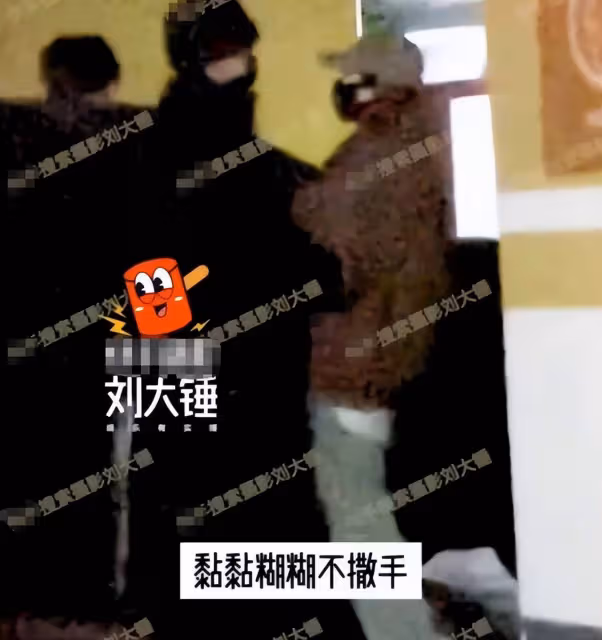 胡夏私生子風波疑點多多，女孩似混血男孩虎頭虎腦，金晨已取關