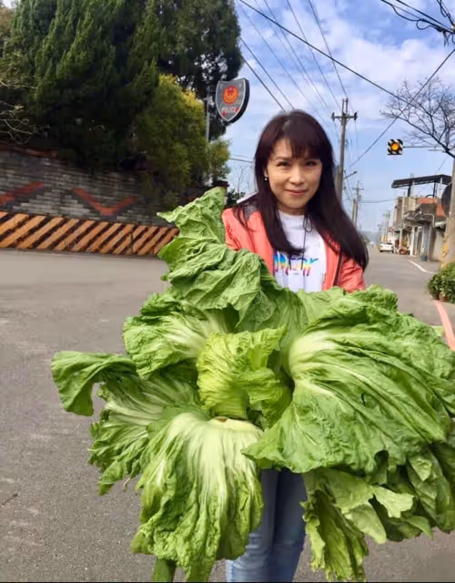 凍齡玉女歌手周子寒改行種菜當農夫！？ 不捨鄭華娟離世發聲了