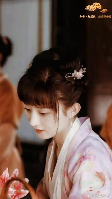 趙麗穎,芙蓉如面柳如眉,對此如何不淚垂