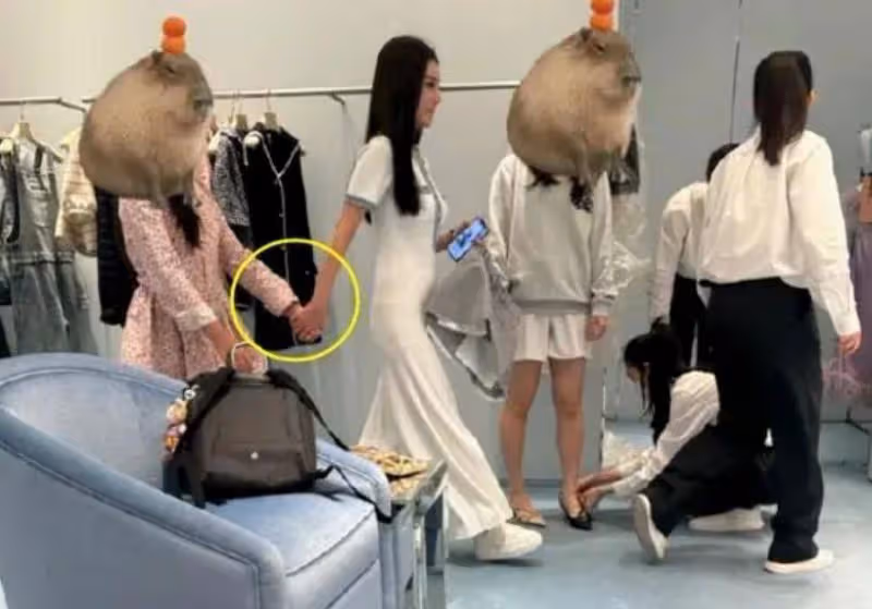 好傢夥！汪小菲求婚成功，送未婚妻超大鑽戒！大S生活節奏被打亂