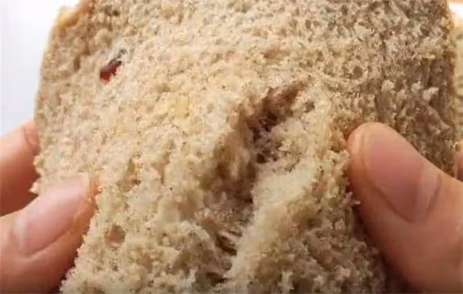 全麥麵包這樣做好吃又簡單,不加黃油不加糖,鬆軟細膩,不幹不硬