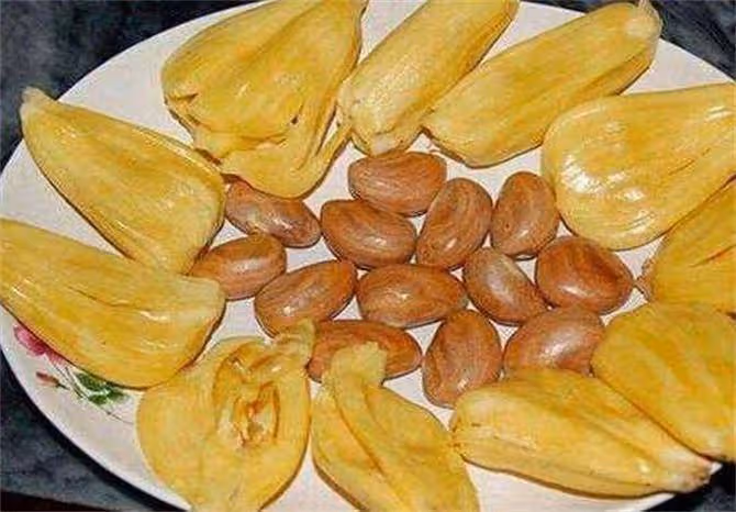 菠蘿蜜怎麼吃?熱帶水果「菠蘿蜜」的正確吃法