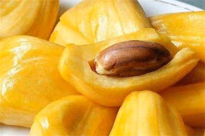菠蘿蜜怎麼吃?熱帶水果「菠蘿蜜」的正確吃法