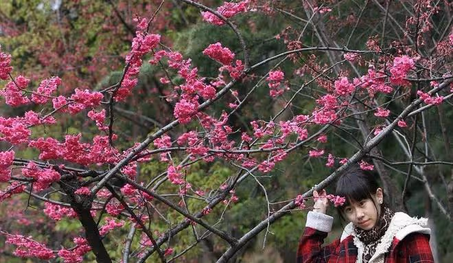 准婆婆在婚禮現場立了2條家規，為何新娘霸氣離場？