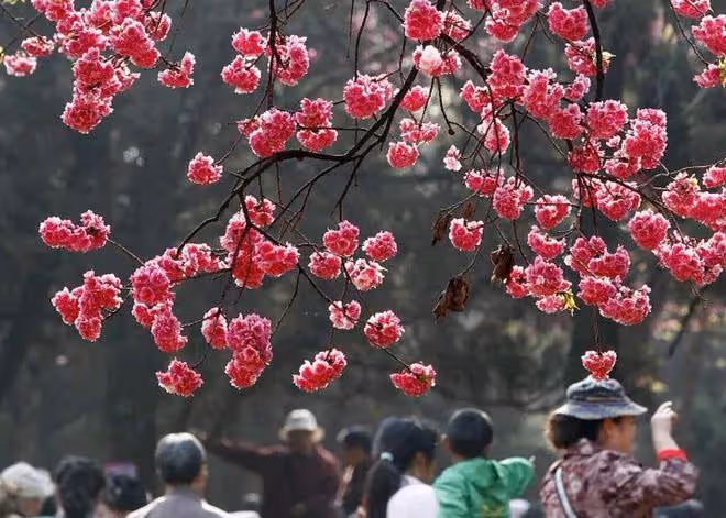 36歲大齡剩女的9個擇偶標準,為何在52歲的女人面前一文不值?