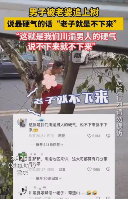 川渝男子被媳婦追到上樹，踩著枝頭硬氣放出狠話，轉身一幕笑噴了