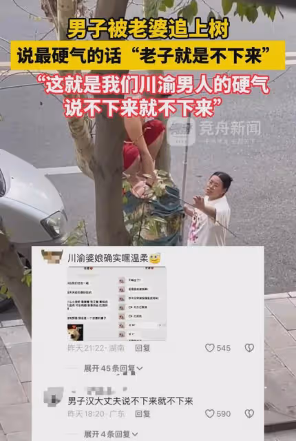 川渝男子被媳婦追到上樹，踩著枝頭硬氣放出狠話，轉身一幕笑噴了