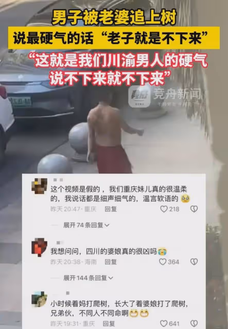 川渝男子被媳婦追到上樹，踩著枝頭硬氣放出狠話，轉身一幕笑噴了