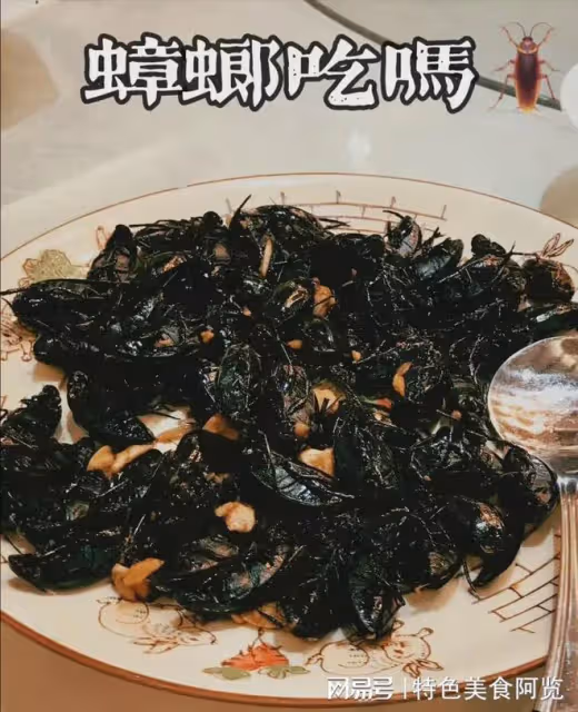 我是北方人，去了一趟廣東，發現廣東人很奇葩，網友：原始社會