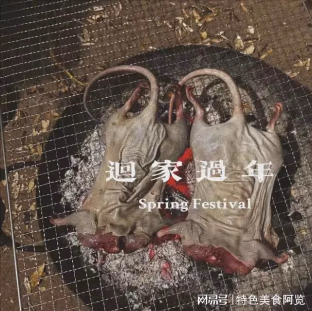 我是北方人，去了一趟廣東，發現廣東人很奇葩，網友：原始社會