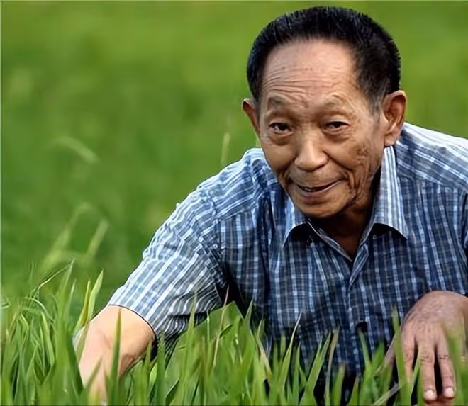 「水稻之父」袁隆平:被醜化禿頭加小辮子,畫家本人辯稱這是藝術