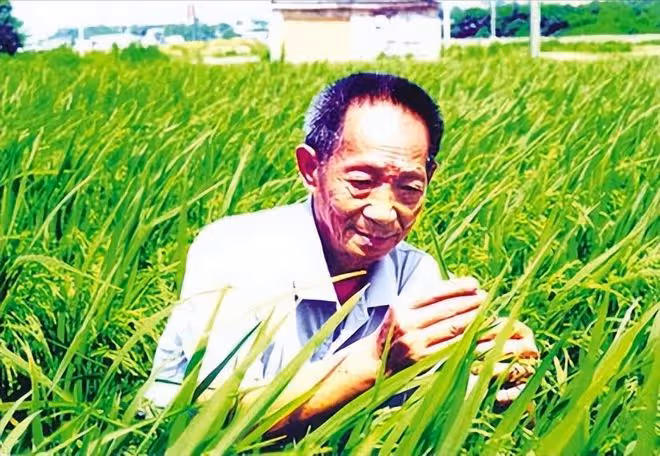「水稻之父」袁隆平:被醜化禿頭加小辮子,畫家本人辯稱這是藝術