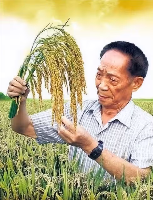 「水稻之父」袁隆平:被醜化禿頭加小辮子,畫家本人辯稱這是藝術