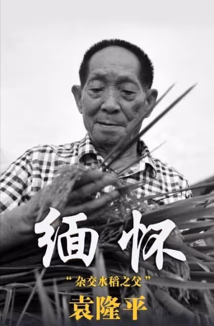 「水稻之父」袁隆平:被醜化禿頭加小辮子,畫家本人辯稱這是藝術