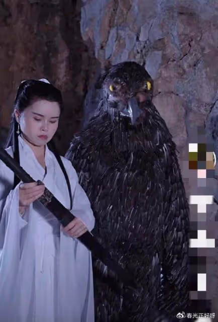 女子自認酷似李若彤,多年堅持拍小龍女,網友都說丑卻沒人說不像