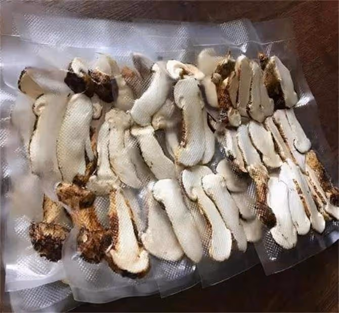 松茸好吃,但保鮮比較困難,想要一年都有新鮮松茸吃,就這樣存放