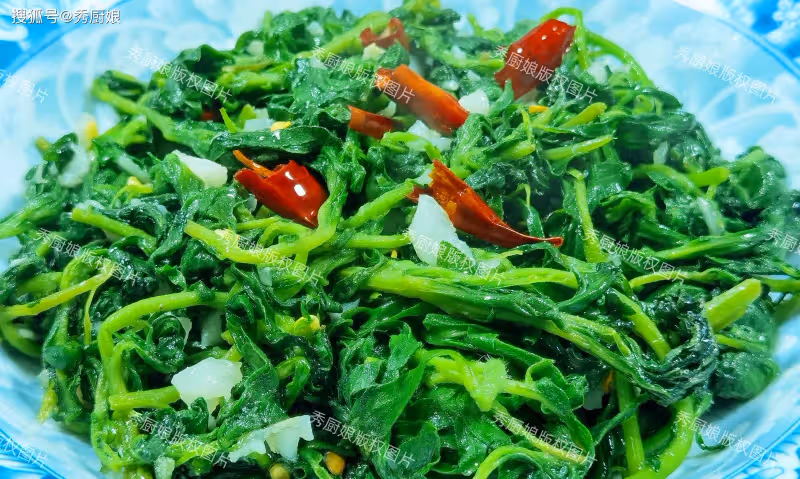 別不懂行!這3種極品野菜抓緊吃,全身是寶!可惜現在都被當雜草