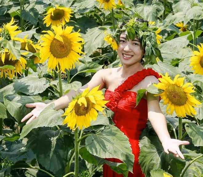 當孔雀女愛上鳳凰男，不懂這3點，還不如一個驕傲的大齡剩女？
