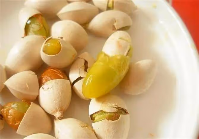 銀杏果怎麼吃?銀杏果食用禁忌有哪些?聽聽專家怎麼說