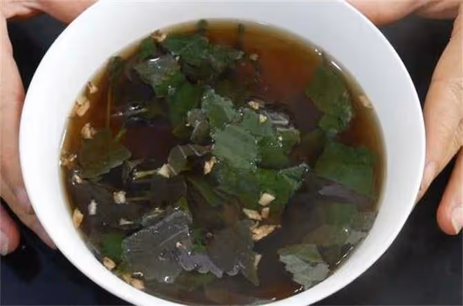 紫蘇葉加生薑泡水喝,老一輩人的養生秘訣,很多人都不知道