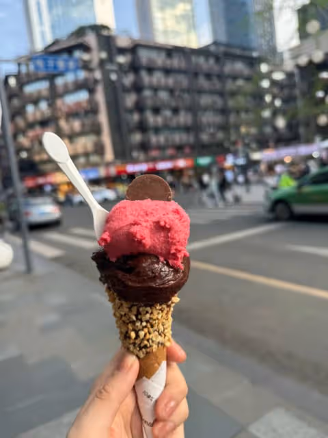 陳妍希成都之旅惹關注，美食與大熊貓成焦點
