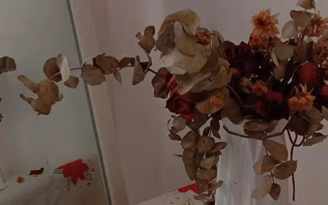 70歲老人坦言：找老伴，一要伺候我，二不能花我錢，否則寧願單身