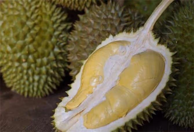 榴槤怎麼挑?只需記住這八大訣竅,就能挑到肉多又好吃的那個