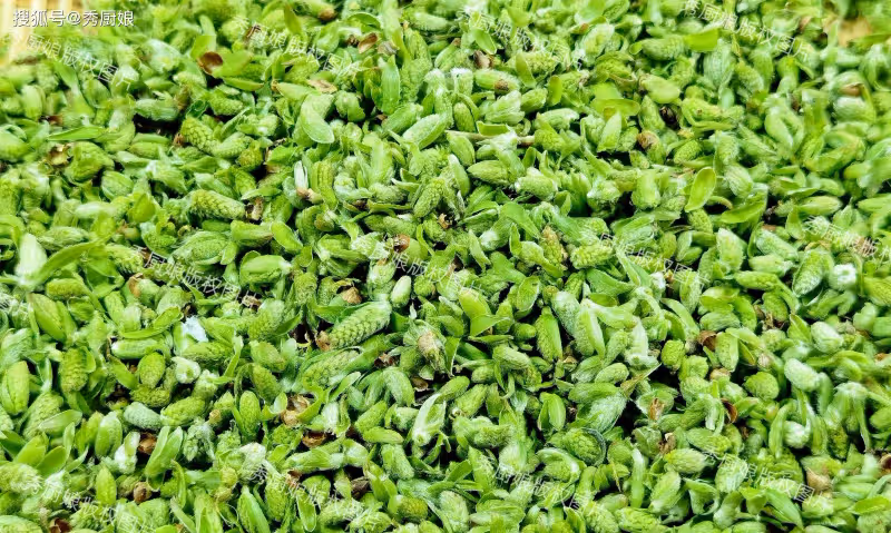 4月第一鮮,一年只能吃1次,比薺菜營養,比韭菜鮮,很多人沒吃過