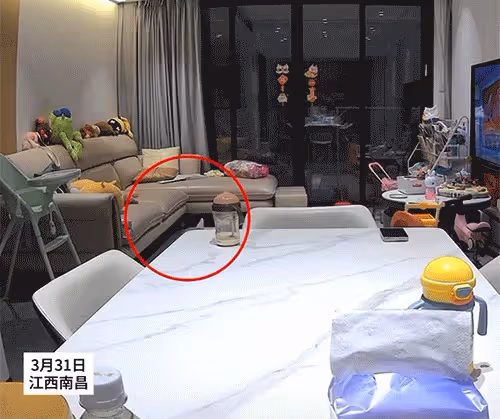 南昌暴風雨3人墜亡，現場畫面曝光，家屬含淚曝經過，官方回應！
