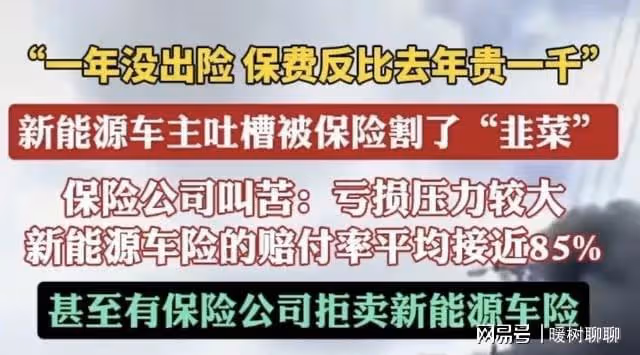 新能源車主破防了！保險:每年大於2萬公里、車齡超4年不敢給續保
