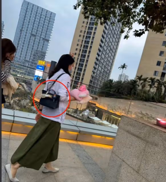 郭晶晶霍啟剛帶子女回內地老家排場大，背8萬名牌包，一群人陪逛