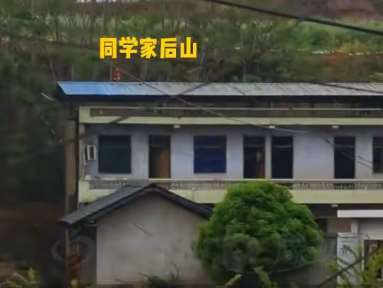 11歲女孩找同學遇害後續：兇手是同學舅公，父親改簽名，下決心！