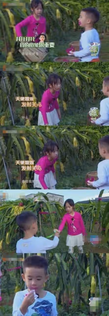 《爸爸去哪兒》被嫌棄的星二代，近照曝光引爭議！最後一位認不出