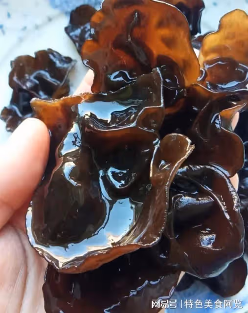 全國哪裡的黑木耳最好?中國十大黑木耳產地,有你的家鄉嗎?