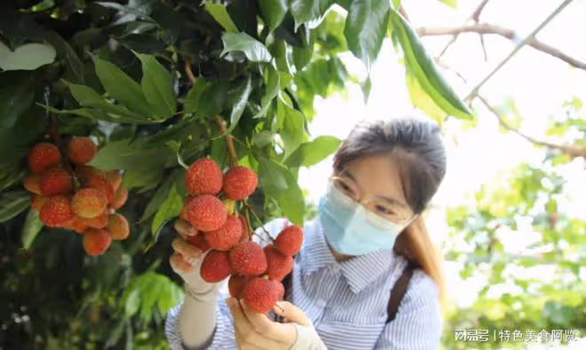中國十大特色水果排行,哪個地方最有名?你的家鄉上榜了嗎?