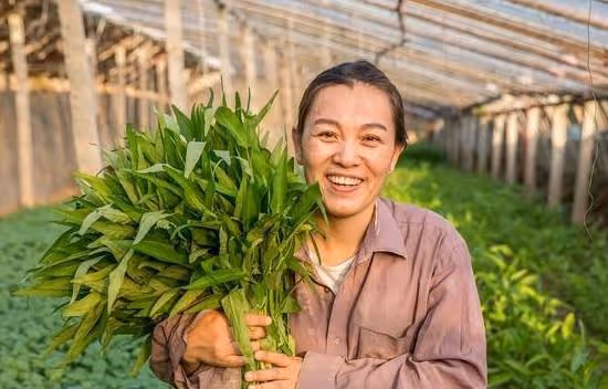 兒媳：沒給彩禮沒買婚房憑什麼要我給你養老？婆婆：就憑我養大他