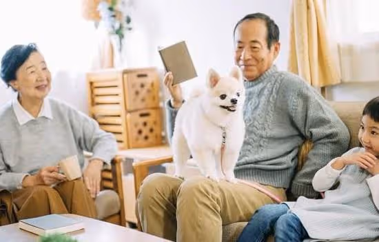 她32歲,老公意外去世,2720000補償款給公婆200000,他們很高興