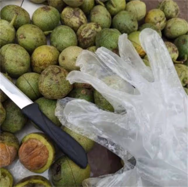 青皮核桃如何快速去皮?一看就會的土方法,省時省力不傷手