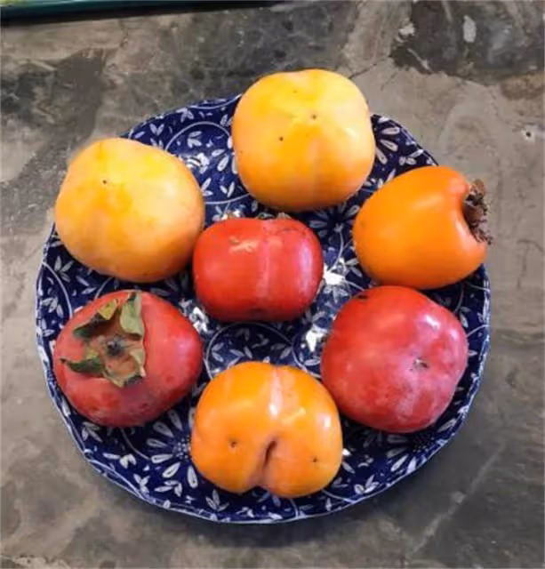 立秋之後,西瓜南瓜靠邊站,秋天最該食3種水果,清甜解渴緩秋燥