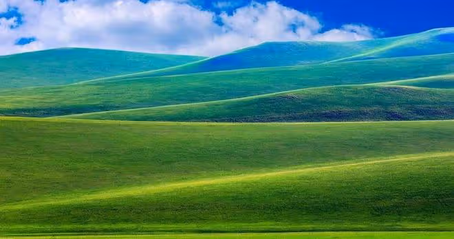 在這4個地方保持「乾淨」的家庭，會有上乘的風水，貴不可言