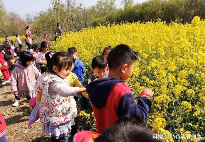農曆二月二十六真武大帝誕辰：1拜2吃3做，修行節食，長壽平安