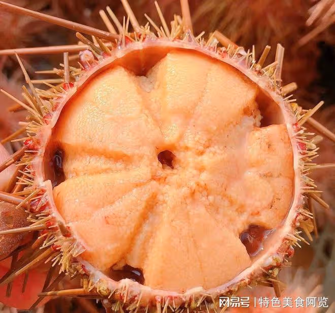 中國最受歡迎的10大生吃美食！除了三文魚，你還知道哪些呢？