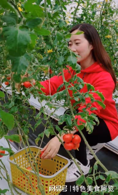 能夠生吃的蔬菜有哪些?中國十大可生吃的蔬菜,你最愛吃哪一款?