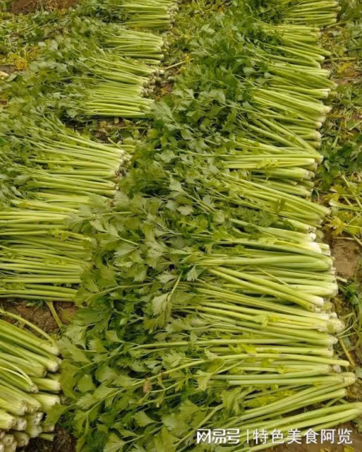 能夠生吃的蔬菜有哪些？中國十大可生吃的蔬菜，你最愛吃哪一款？