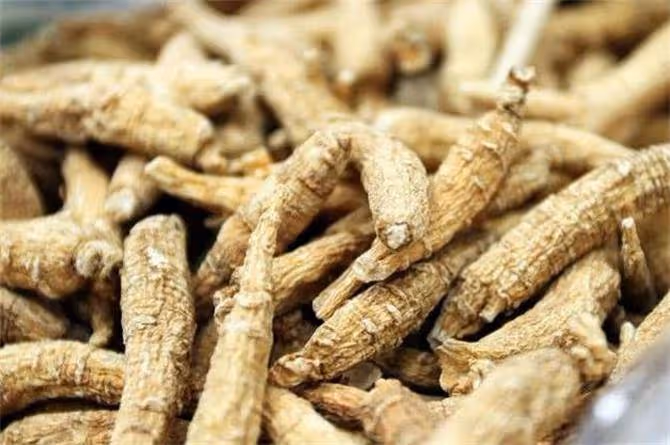 西洋參哪裡的產地比較好?西洋參泡水喝一天需幾根?