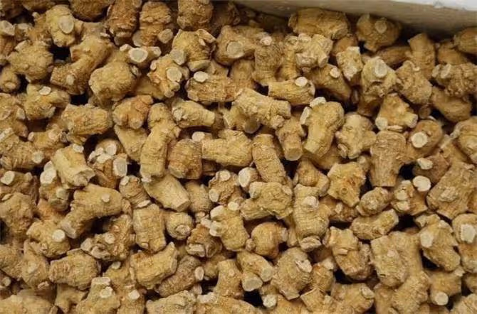 西洋參哪裡的產地比較好?西洋參泡水喝一天需幾根?
