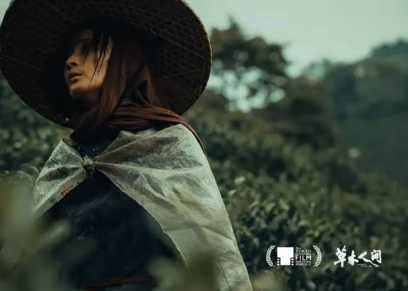 蔣勤勤瘋魔演技炸裂吳磊飆戲精彩!傳銷詐騙太觸目驚心?